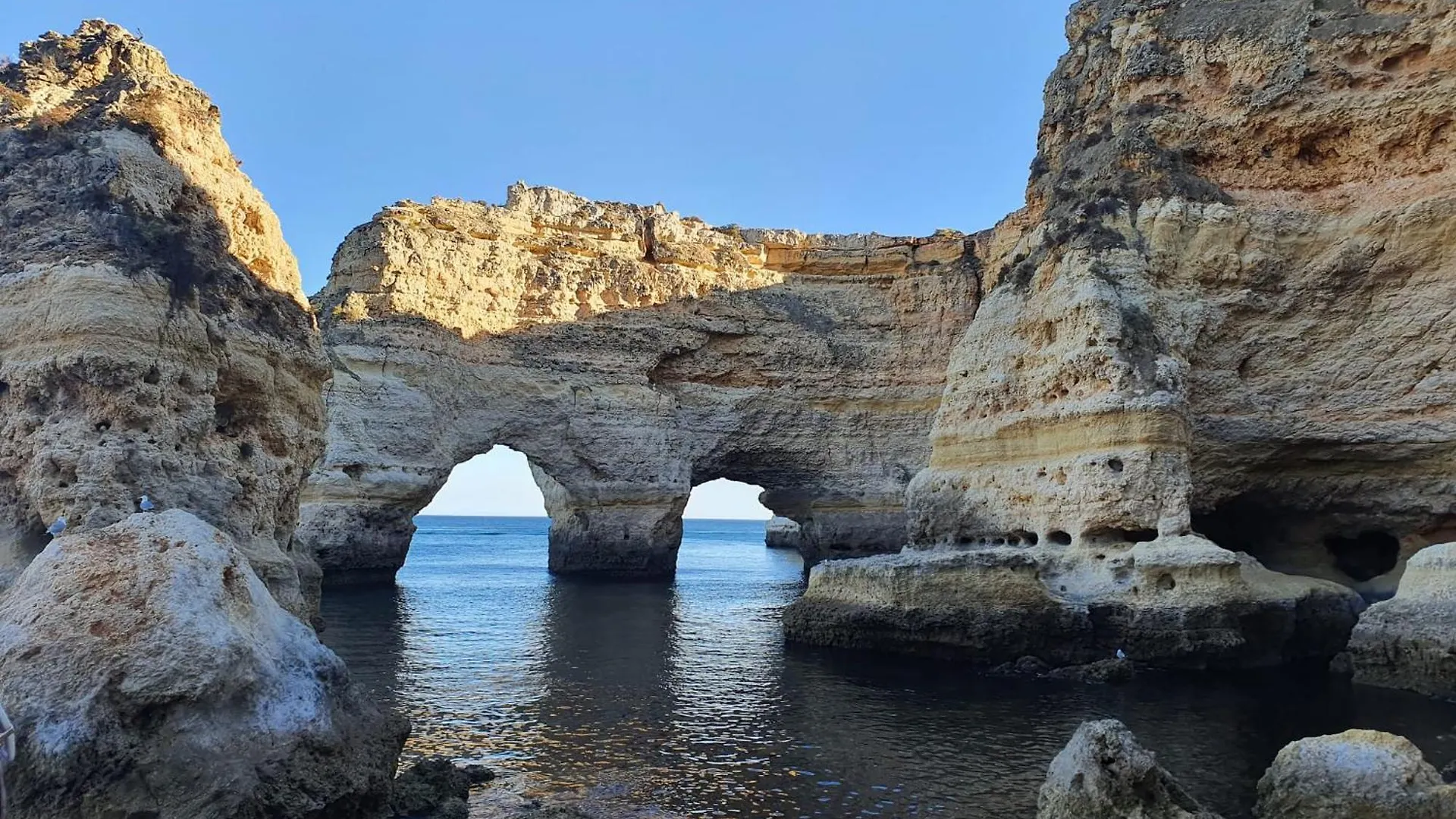 Blue Algarve contacts